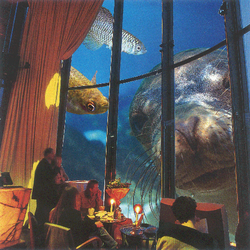 achhierseidihr_thumb