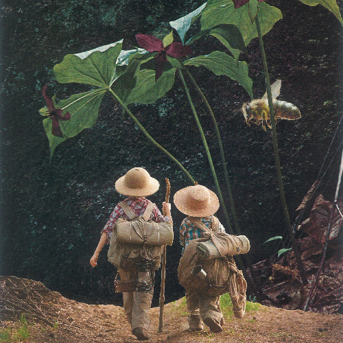 aufwanderschaft_thumb