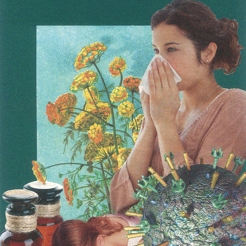 bellainfluenza_thumb