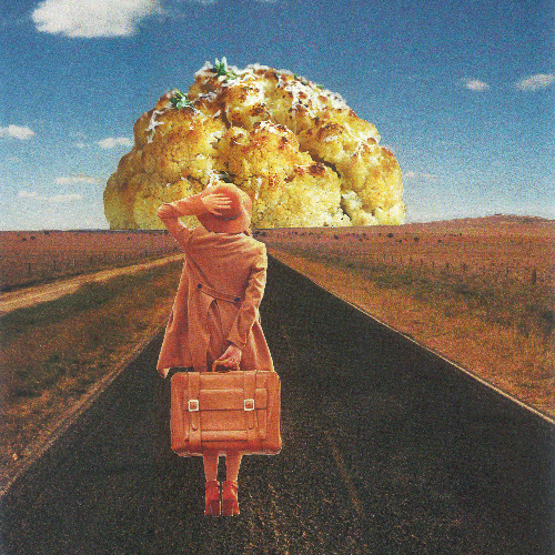 blumenkohlamhorizont_thumb