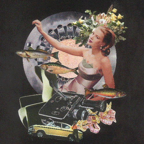 gracediefische_thumb