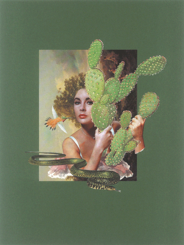 Liz-und-der-Kaktus