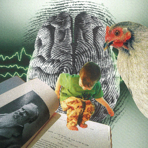 Major-Powells-brain_thumb