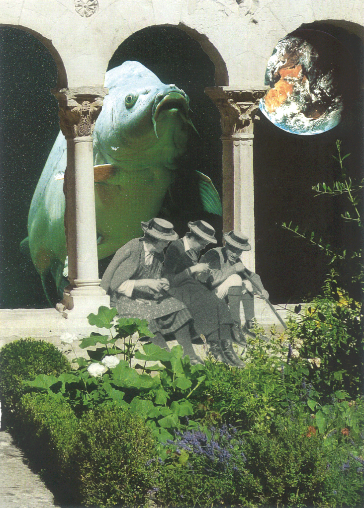 Mola-Mola