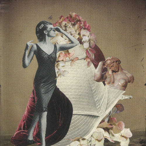 perfekte-Kurven_thumb