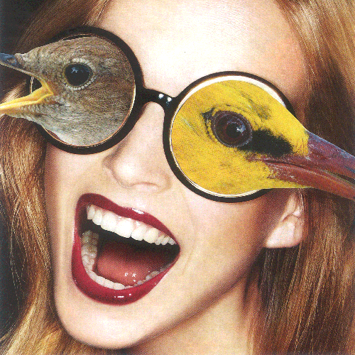 Schau-mir-in-die-Augen_thumb