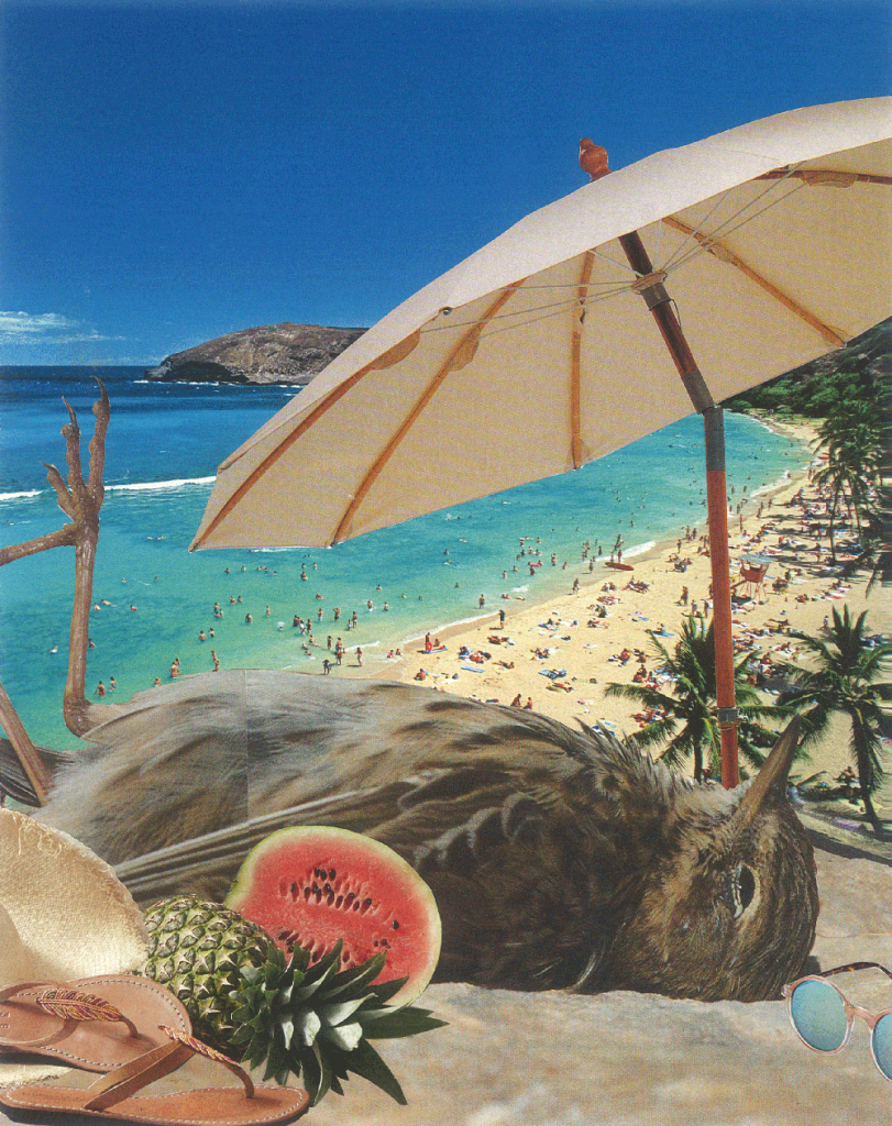 sonnestrandundmeer_thumb