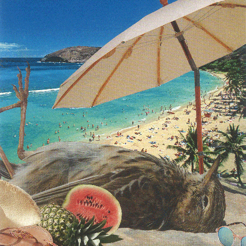 sonnestrandundmeer_thumb