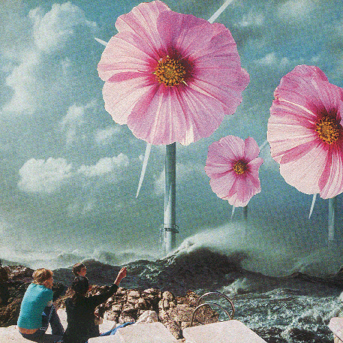 starkwindroeschen_thumb