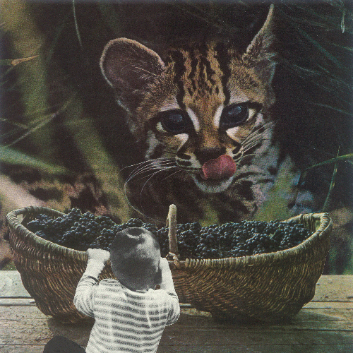 Wollen-wir-teilen_thumb