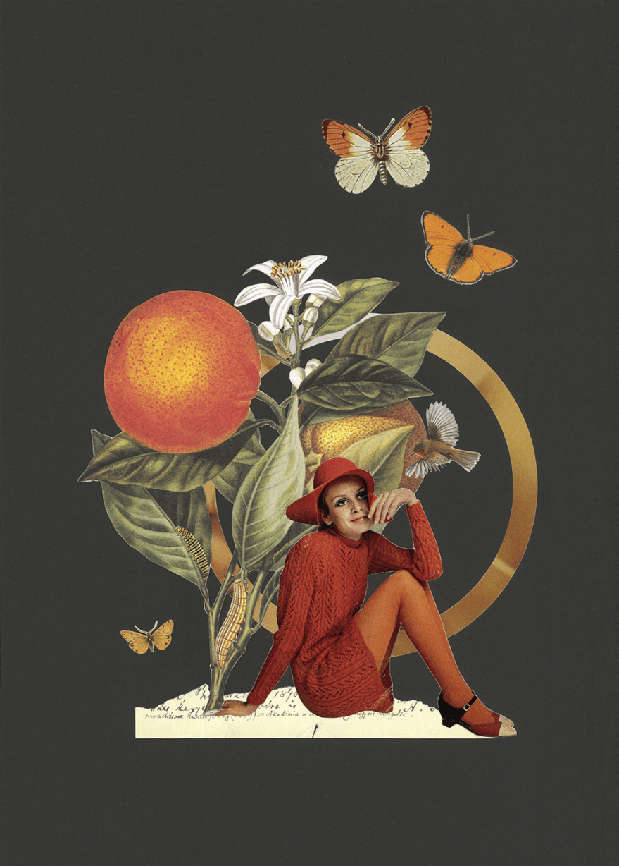 10-Obstsaison-Orange