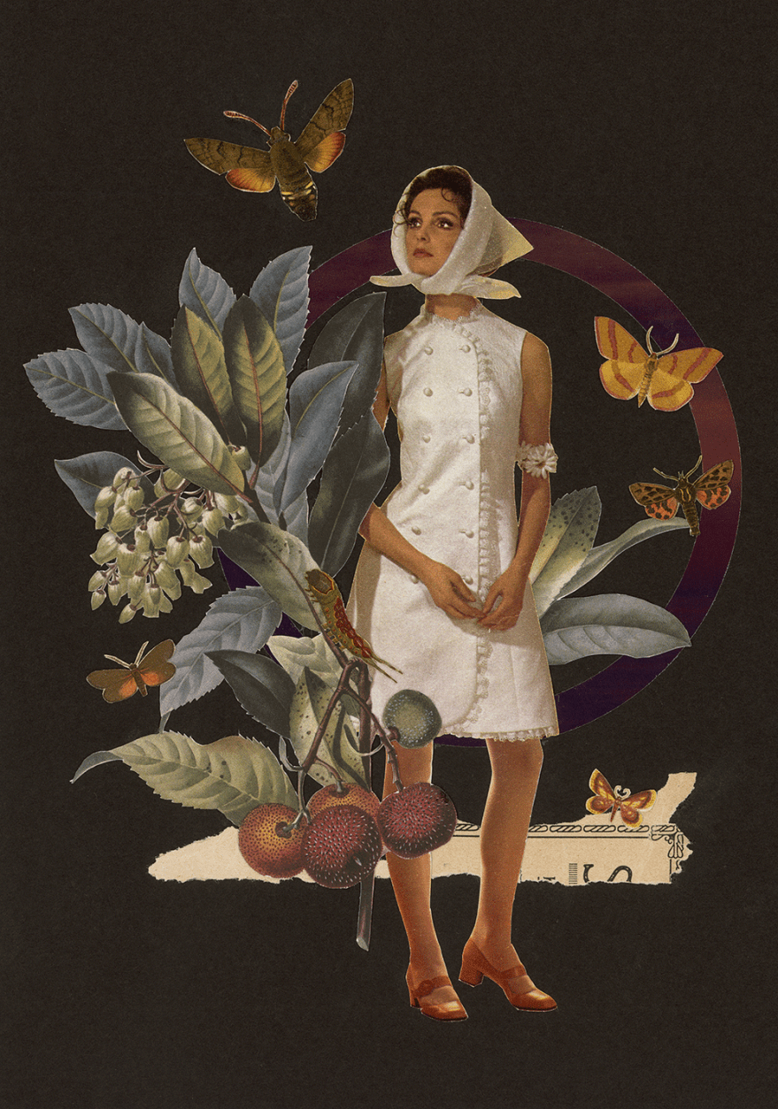 2-Obstsaison-Baumerdbeere