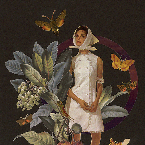 2-Obstsaison-Baumerdbeere_thumb