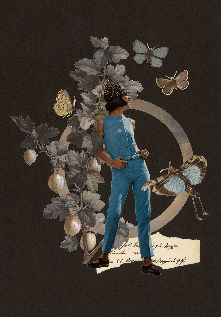 5-Obstsaison-Stachelbeere