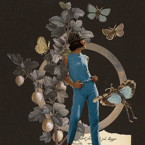 5-Obstsaison-Stachelbeere